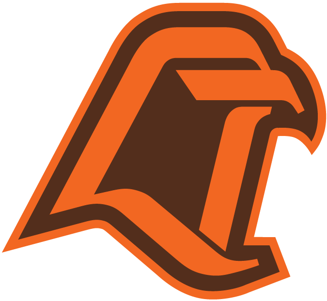 Bowling Green Falcons 1980-1989 Alternate Logo iron on transfers for fabric